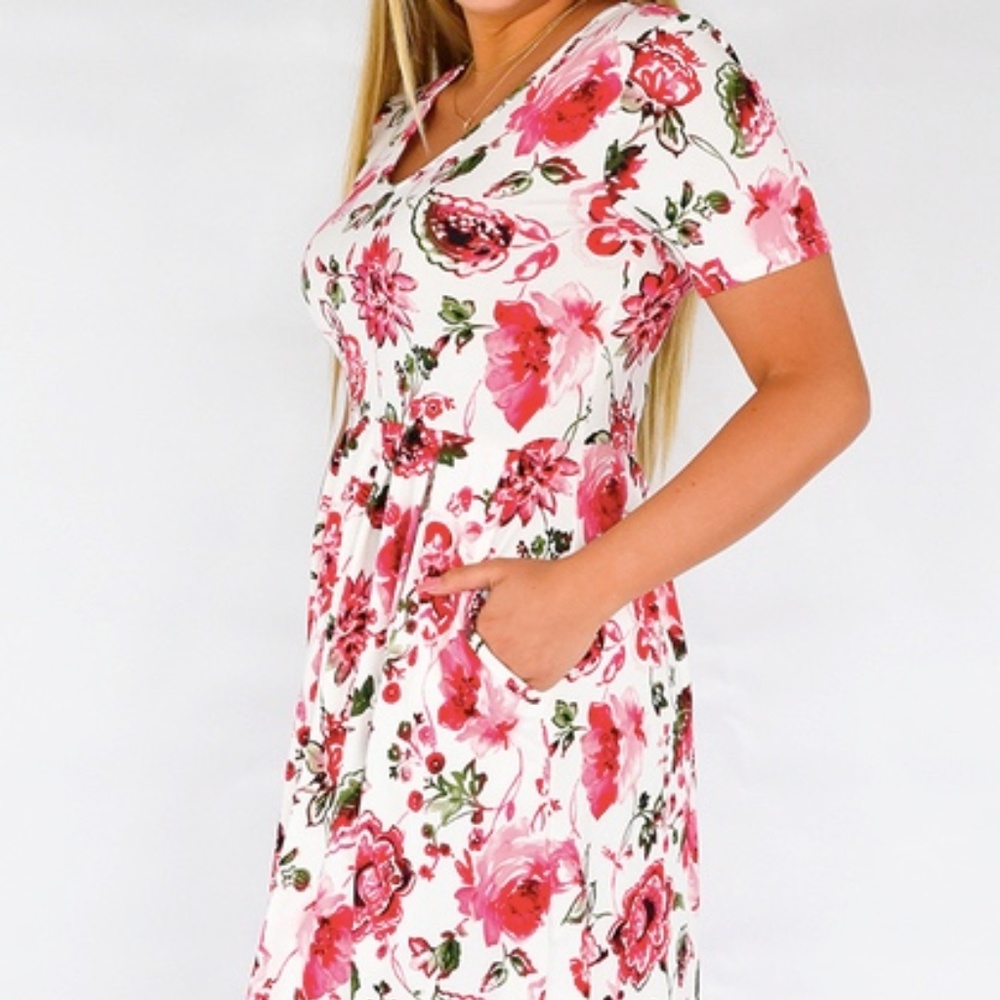 New with tags LaLo & Co Aria Dress
